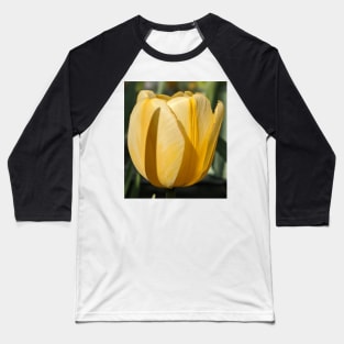 Yellow Tulip Profile 1 Baseball T-Shirt